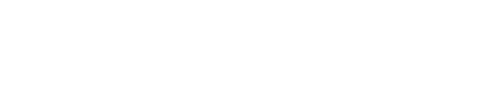 institute for economic development logo